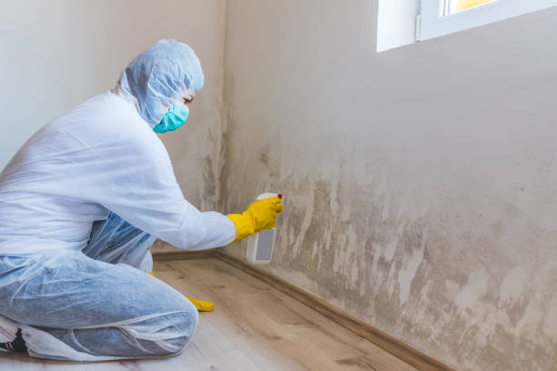 Forensic Mold Investigation in Millbrook, AL