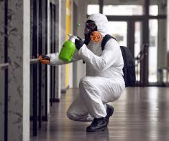 Mold Remediation for Vacation Homes in Millbrook, AL